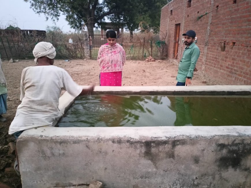 नायब तहसीलदार तारा शुक्ला ने गौशाला का निरीक्षण कर दिए दिशा निर्देश