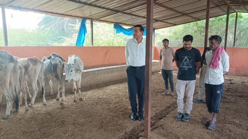 एसडीएम ने गौशालाओं का औचक निरीक्षण कर सर्दी से बचाव के दिए निर्देश