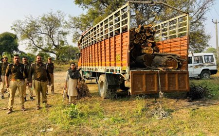 उप जिलाधिकारी ने अवैध लकड़ी से भरा डीसीएम पकड़ा