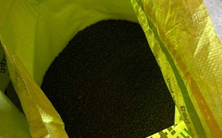 विभाग की मिली भगत से चल रहा था नकली खाद का गोरख धंधा