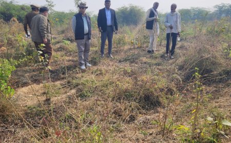 वन संरक्षक ने नर्सरी व क्षेत्र के जंगलों का किया औचक निरीक्षण