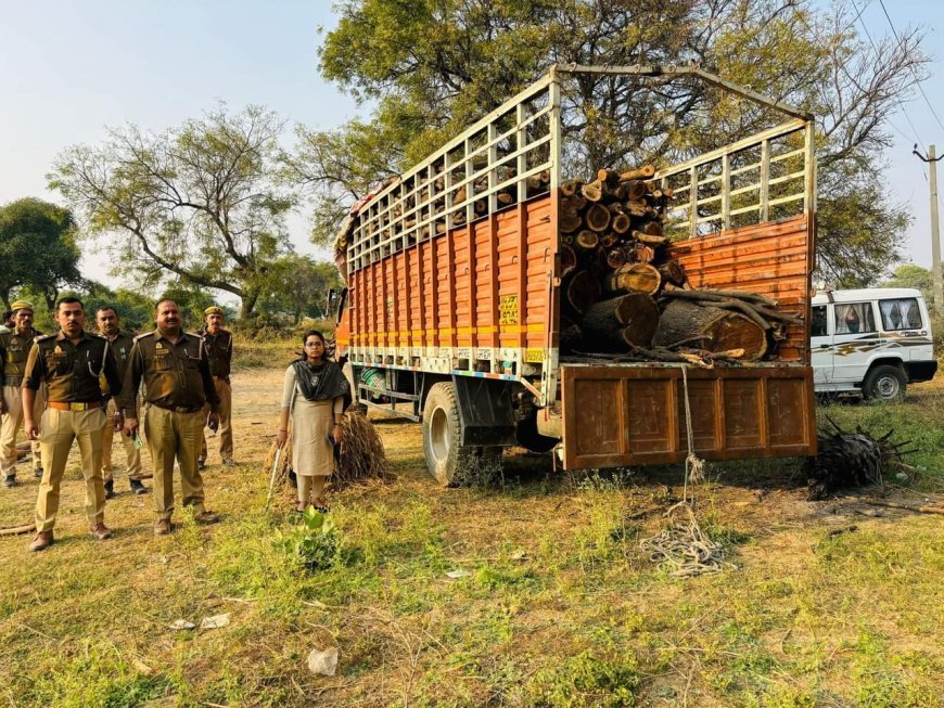 उप जिलाधिकारी ने अवैध लकड़ी से भरा डीसीएम पकड़ा