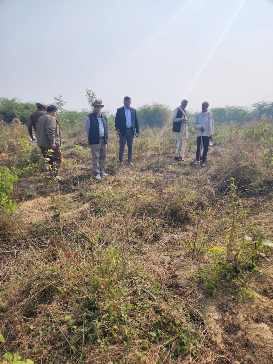 वन संरक्षक ने नर्सरी व क्षेत्र के जंगलों का किया औचक निरीक्षण