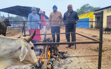नायब तहसीलदार ने गौशाला तथा अलाव का लिया जायजा
