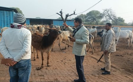 एसडीएम को गौशालाओं के औचक निरीक्षण में मिली कमियां, दिये आवश्यक दिशा निर्देश