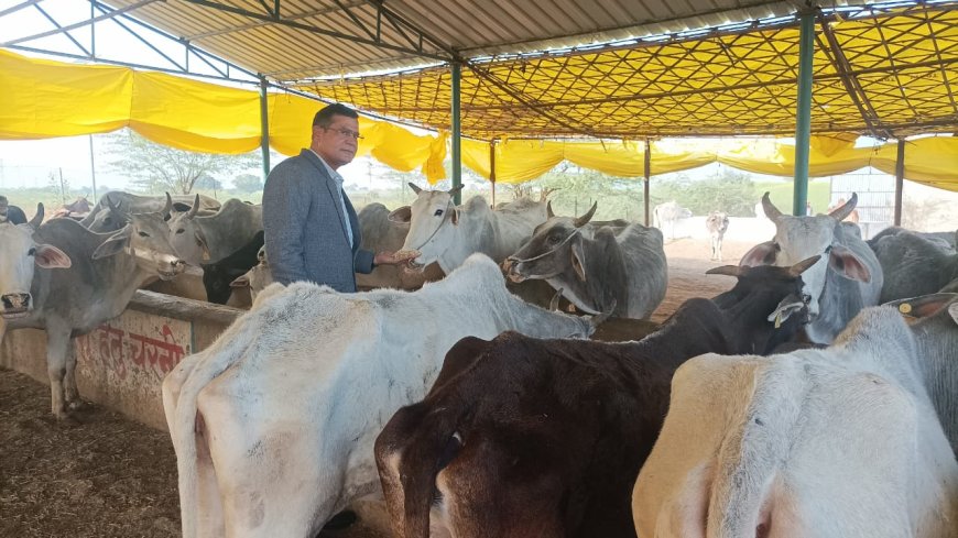 परासन की गौशाला मे अव्यवस्था मिलने पर एसडीएम ने जताई नाराजगी