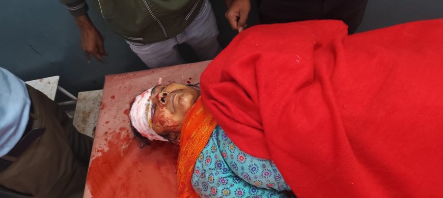 घर में घुसकर महिला के साथ की मारपीट, फोड़ा सिर