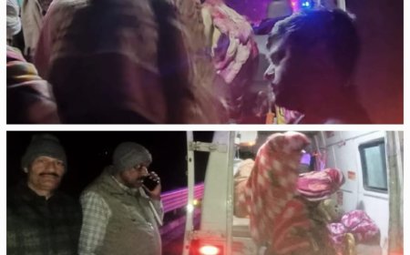 श्रद्धालुओं से भरी लोडर पलटी, 12 यात्री हुए घायल