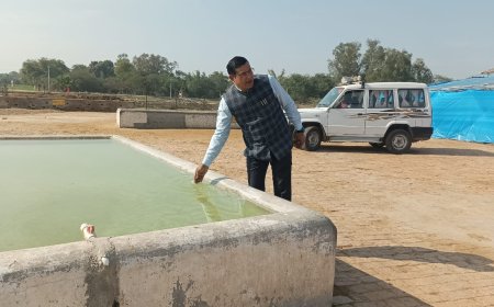 गौशालाओं के निरीक्षण में अव्यवस्था मिलने पर एसडीएम ने सुधारने के निर्देश दिये