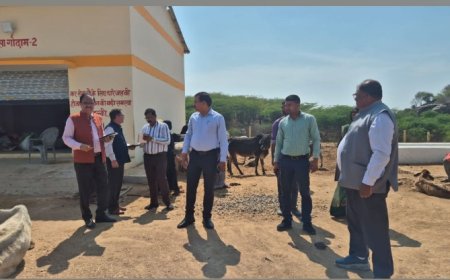 जिलाधिकारी राजेश कुमार पांडेय ने ग्राम नुनवई  की गौशाला का किया औचक निरीक्षण