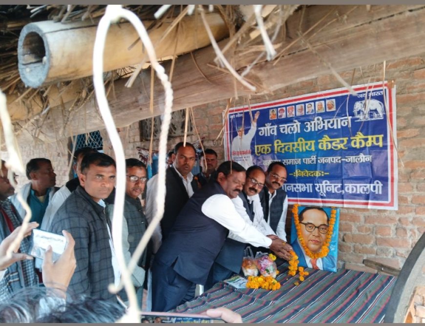 कालपी विधानसभा के गांव देवकली में हुई बसपा कैडर की समीक्षा बैठक