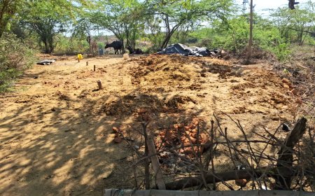 जीआरपी तथा पालिका ने सरकारी जमीन से अवैध कब्जा हटाया