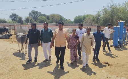 पालिका द्वारा संचालित कान्हा गौशाला का पालिकाध्यक्ष ने किया औचक निरीक्षण