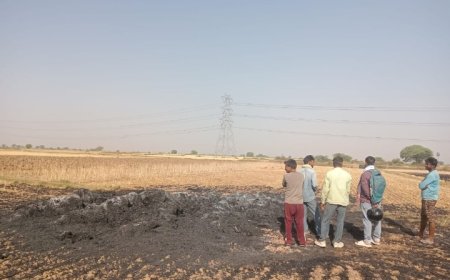 ग्राम गढ़र में लगी भीषण आग, तीन बीघा गेहूं की फसल जलकर राख