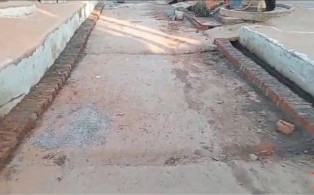 एक ही सड़क का कई बार निर्माण दिखाकर लगाया सरकार को चुना