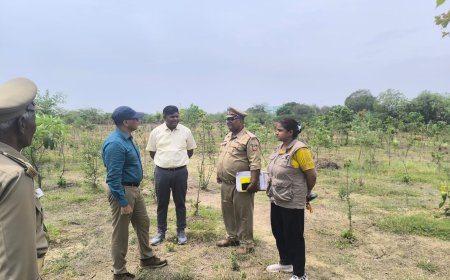 मुख्य वन संरक्षक ने वन राजि क्षेत्र का किया औचक निरीक्षण