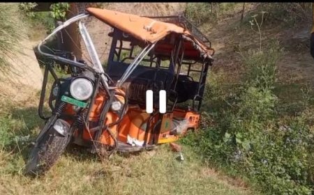 ई-रिक्शा पलटऩ़े से चालक हुआ घायल