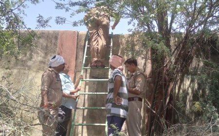 गल्ला मंडी के प्रतिष्ठान में ताला तोड़कर 90 बोरी मटर की हुई चोरी