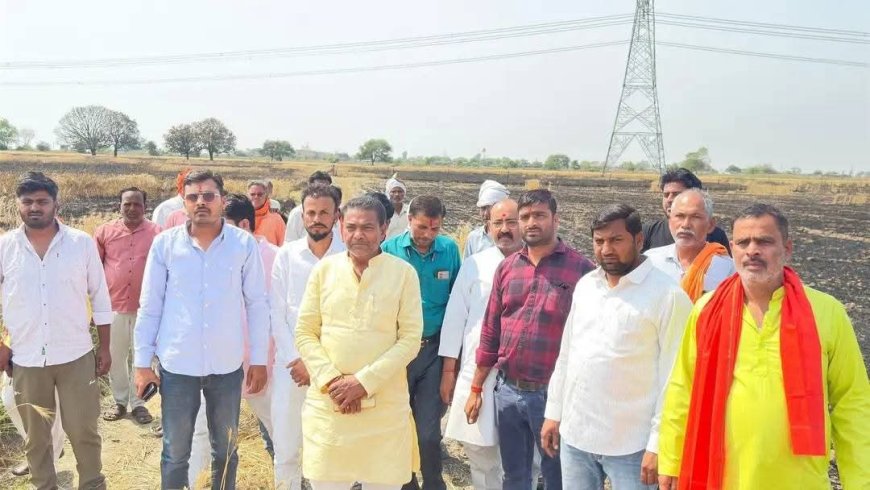 डिकोली गांव के खेत में लगी आग का विधायक ने किया स्थलीय निरीक्षण