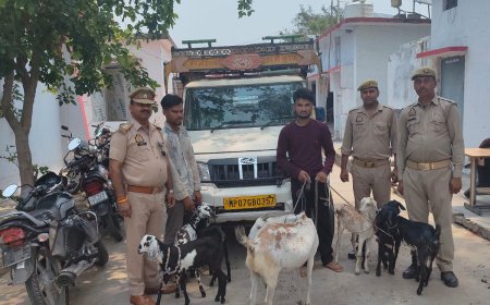 अंतर्जनपदीय दो चोर तमंचा सहित गिरफ्तार