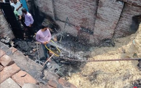 गांव में लगी भीषण आग,लाखों का माल जलकर हुआ स्वाहा