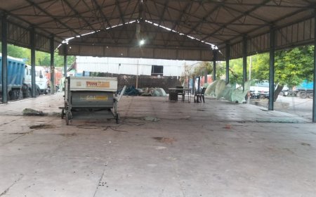 मंडी में गेहूं के दाम में बढ़ोतरी होने से सरकारी क्रय केंद्रों पर पसरा सन्नाटा