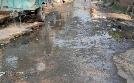 मानव मल युक्त सड़क पर बह रहा बजबजाता गंदा पानी, जिम्मेदार मौन