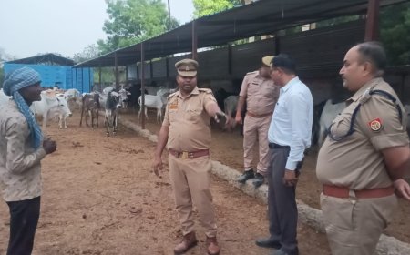 चुर्खी गौशाला में कमियां मिलने पर एसडीएम ने जताई नाराजगी