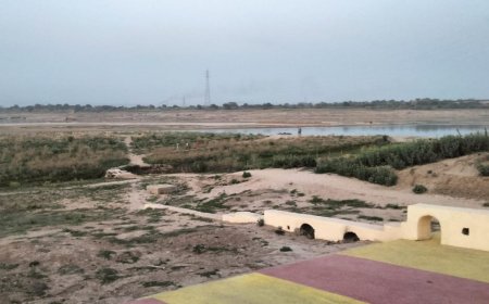 भीषण गर्मी के कारण यमुना का जलस्तर गिरकर 94 मीटर पहुँचा