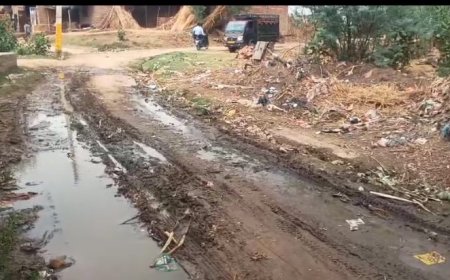 दलित बस्ती में बजबजाती गंदगी से फैल रहा संक्रमण