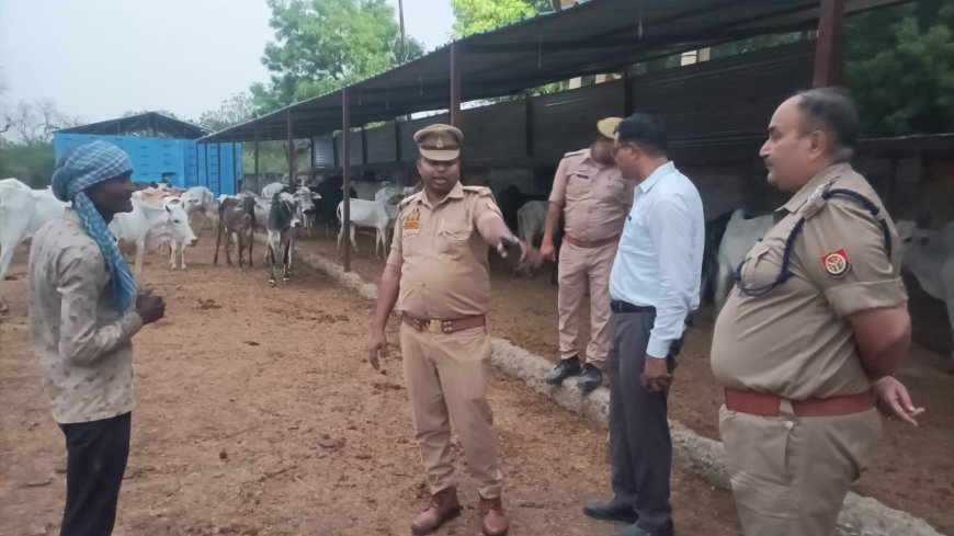 चुर्खी गौशाला में कमियां मिलने पर एसडीएम ने जताई नाराजगी