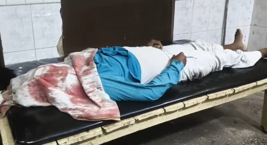 सड़क पर पड़े पेड़ से टकराकर एक की मौत दूसरा हुआ घायल