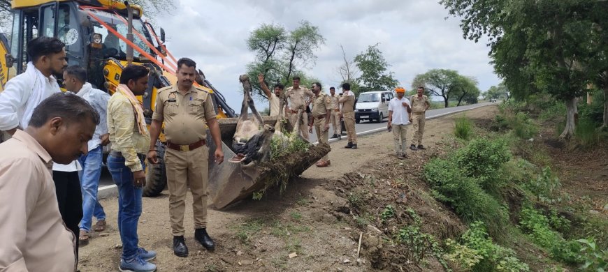 ग्राम सलैया बुजुर्ग में करेंट की चपेट में आने से तीन मवेशियों की गयी जान