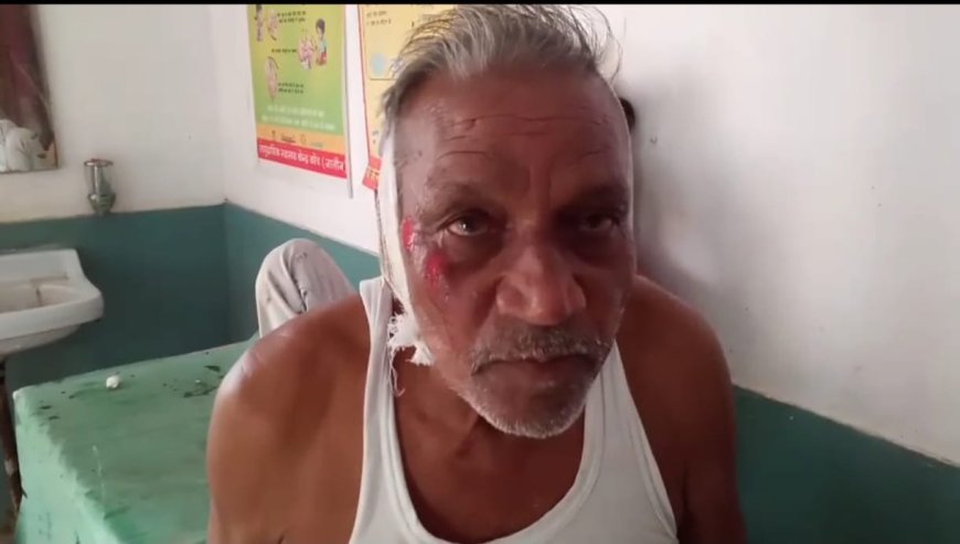 भंडारे से लौट रहे बाइक सवारों को भैंस ने मारी टक्कर, दो घायल