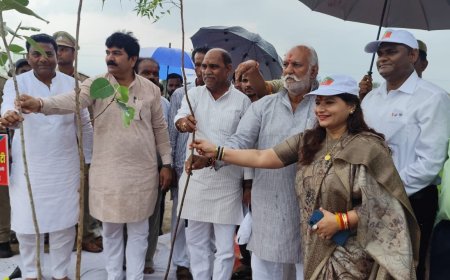 नून नदी तट पर वृहद वृक्षारोपण बारिश के बीच जनसहभागिता से हरियाली की ओर बड़ा कदम