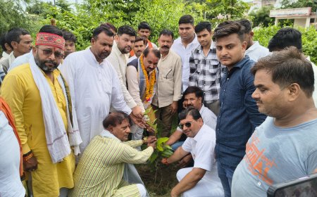 पूर्व केंद्रीय मंत्री के जन्मदिन पर भाजपा नेताओं ने किया वृक्षारोपण