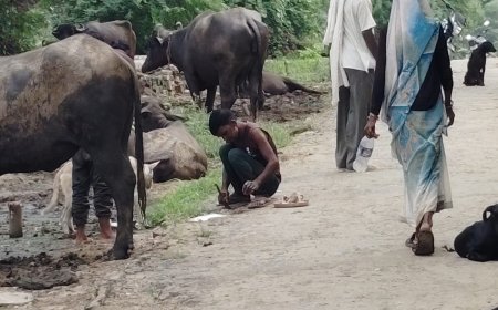 शिव मंदिर जाने के रास्ते में खुलेआम सड़क पर कट रहा मांस