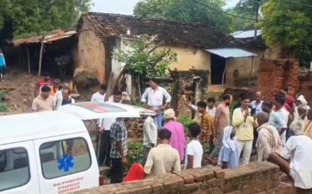 घर के अंदर सो रहे दम्पत्ति को सर्प ने डसा, दोनों की मौत