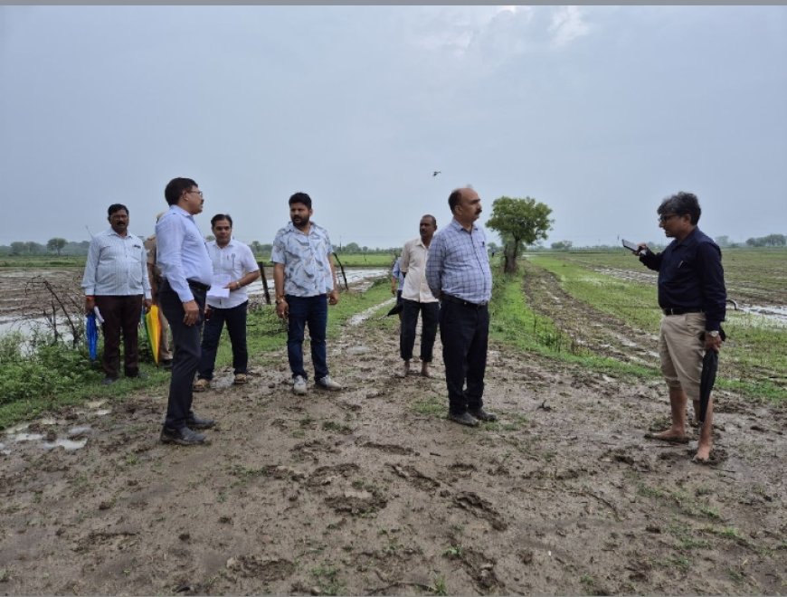 जल रोधक बांध के कार्य मे पाई गई कमी पर डीएम सख्त,शीघ्र सुधार और रिकवरी के निर्देश