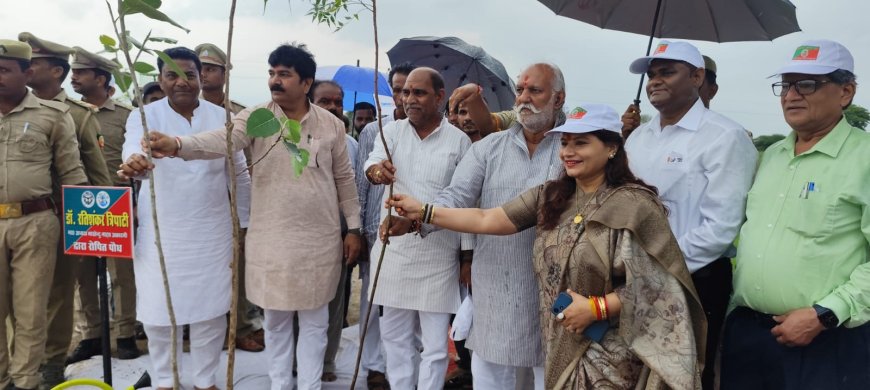नून नदी तट पर वृहद वृक्षारोपण बारिश के बीच जनसहभागिता से हरियाली की ओर बड़ा कदम