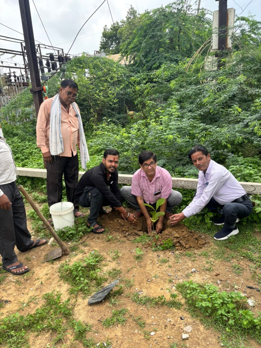 एसडीओ ने विधुत सबस्टेशन पर चलाया वृक्षारोपण अभियान