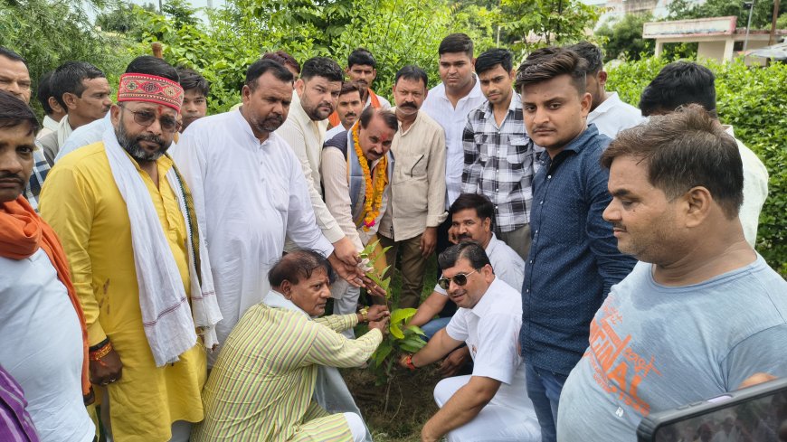 पूर्व केंद्रीय मंत्री के जन्मदिन पर भाजपा नेताओं ने किया वृक्षारोपण