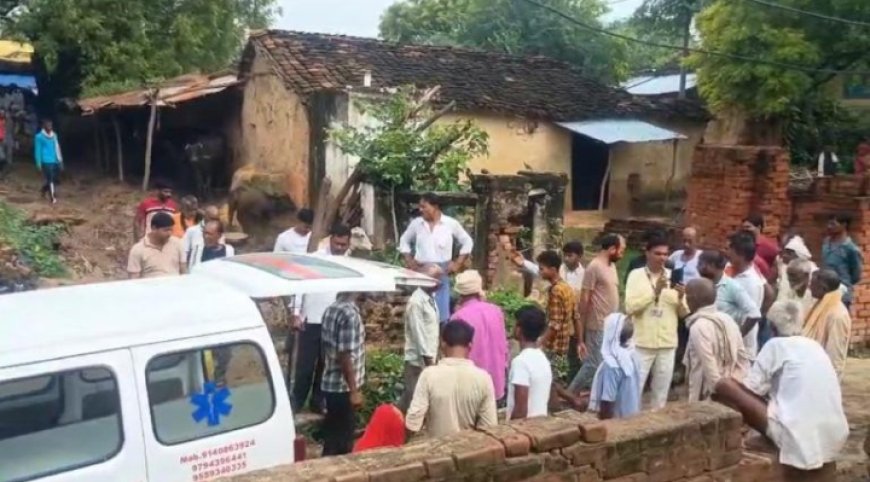 घर के अंदर सो रहे दम्पत्ति को सर्प ने डसा, दोनों की मौत