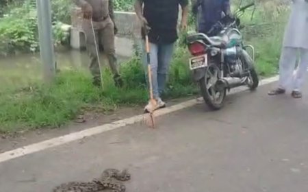 मछली पकड़ने के दौरान जाल में फंसा अजगर ग्रामीणों में मचा हड़कंप