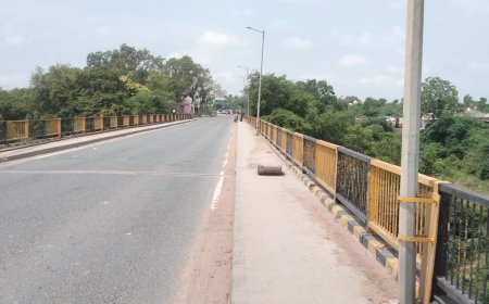 यमुना नदी के पुलों पर बैरिकेडिंग लगाने की योजना लटकी