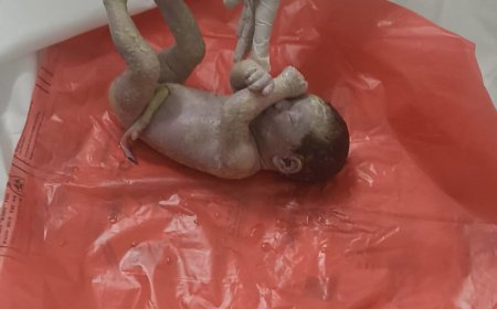 जिला अस्पताल में लापरवाही की इंतहा- इमरजेंसी वार्ड के डस्टबिन में मिला नवजात भ्रूण