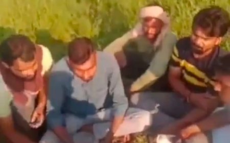 खेत मे 52 परी का नाच नचाते जुआड़ियों का वीडियो हुआ वायरल