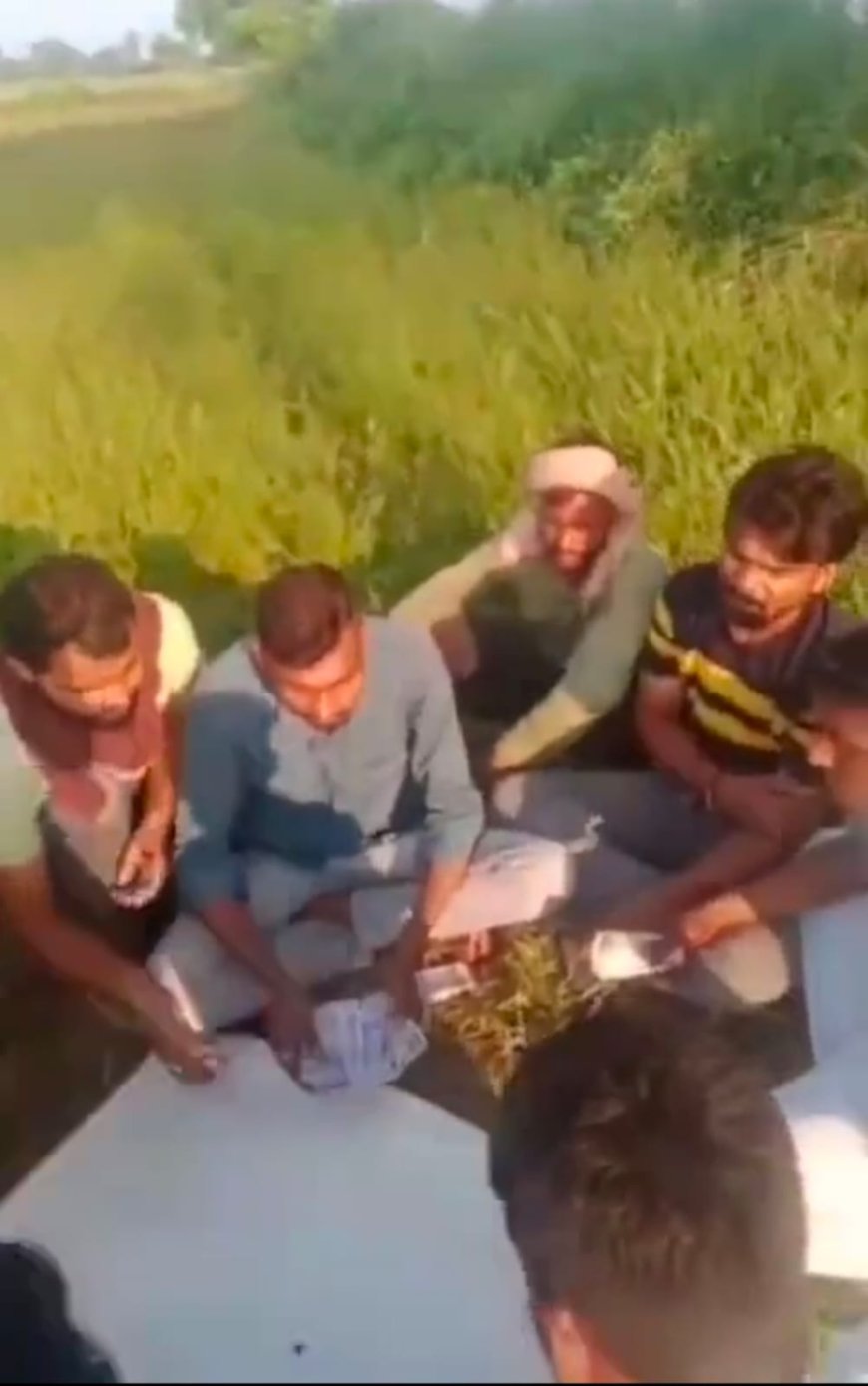 खेत मे 52 परी का नाच नचाते जुआड़ियों का वीडियो हुआ वायरल