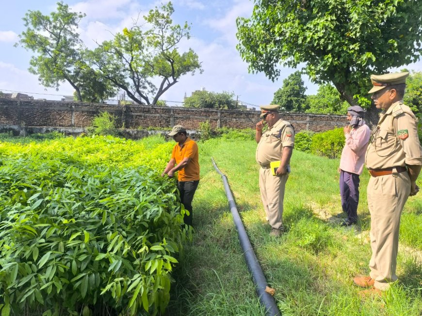 वन संरक्षक ने घूम-घूम कर पौधशालाओं का किया औचक निरीक्षण