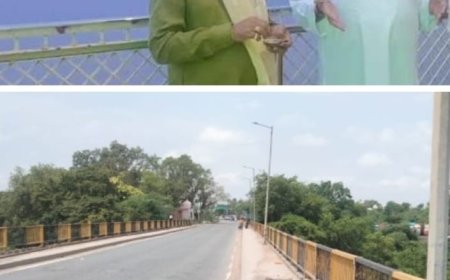 यमुना नदी के पुलों में बैरिकेडिंग लगाने की अटकी योजना पर विधायक गम्भीर